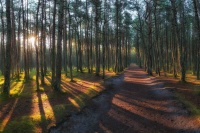  🌲 Воскресенье - идеальное время для того, чтобы расслабиться и мечтать о следующем путешествии. Мы … 